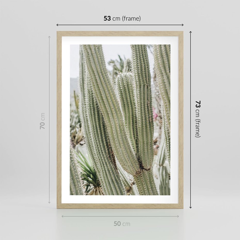 Plakat w ramie 50x70 - Duże Kaktusy w Pejzażu - kaktus, duże kaktusy na pustyni - rama drewno