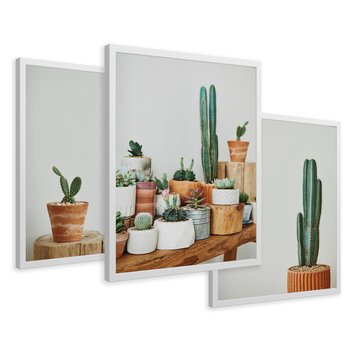 Zestaw obrazy w ramie 50x70 galeria - Kaktusy, w, doniczkach, boho - rama biała
