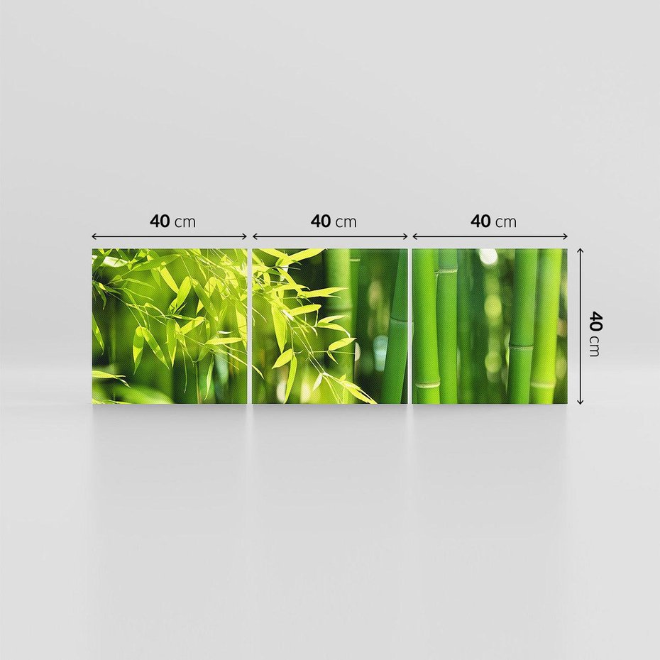 Obraz na płótnie 120x40 - Spokój bambusowego lasu SPA - bambus, drzewa