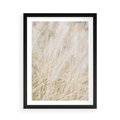 Plakat w ramie 50x70 - Białe Trawy Pampas - suche trawy, białe trawy - rama czarna