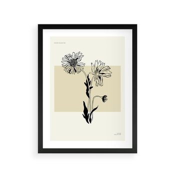 Plakat w ramie 40x50 - Kwiatowe Płótno - kwiaty, typografia - rama czarna