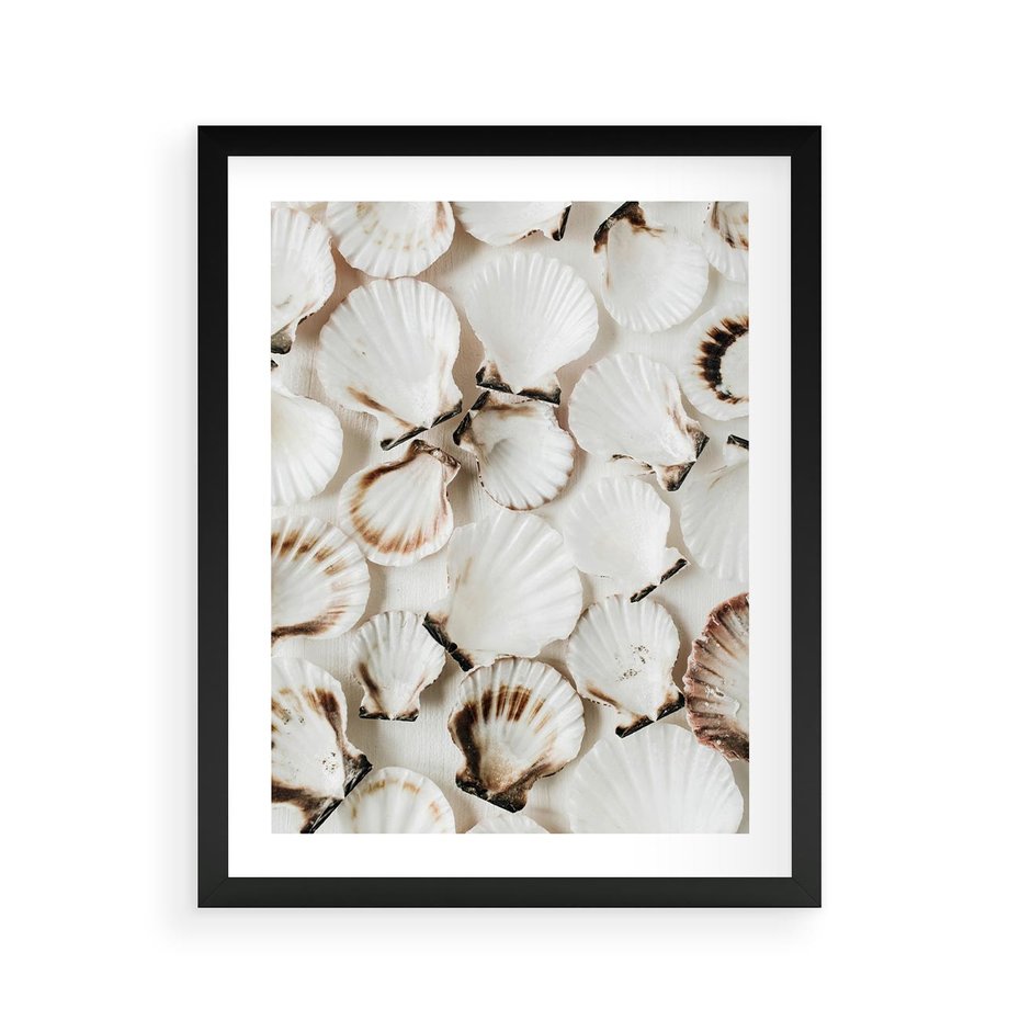 Plakat w ramie 40x50 - Białe Muszle - białe muszle, ujęcie z góry - rama czarna