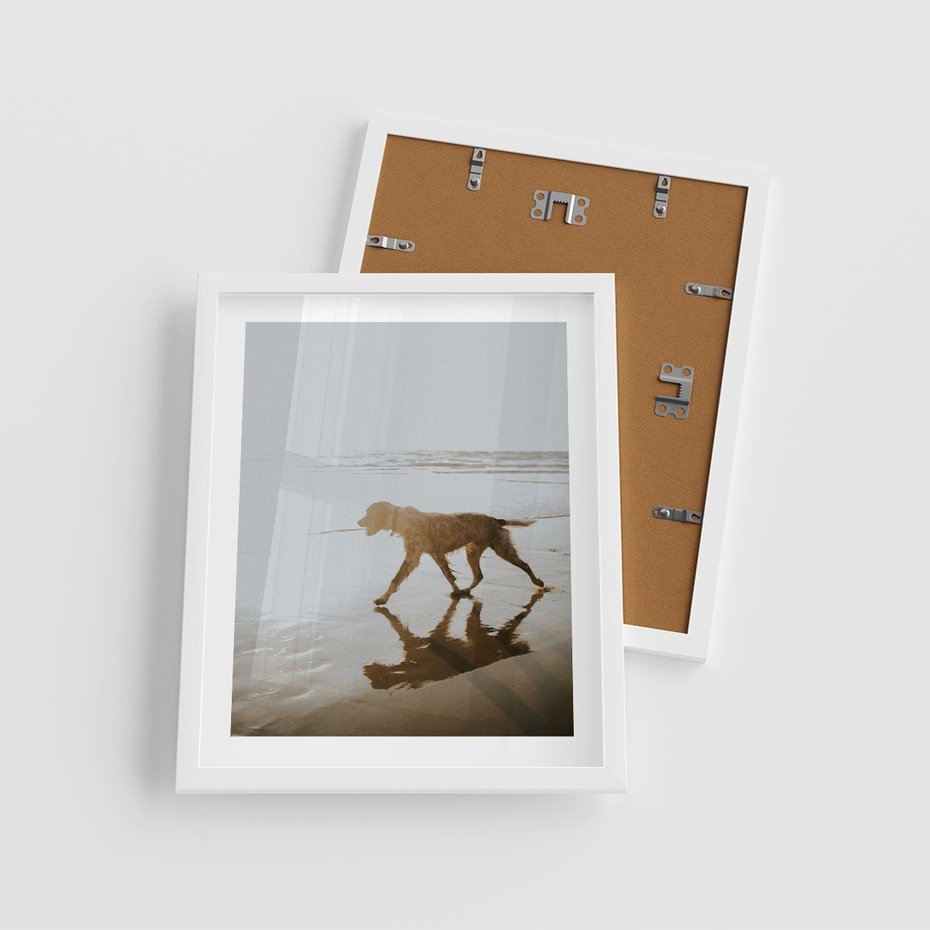 Plakat w ramie 40x50 - Przyjaciel na Plaży - pies, na plaży - rama biała