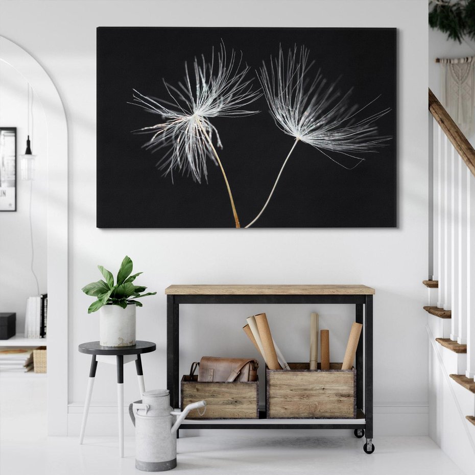 Obraz na płótnie 70x50 - Delikatność Wiatru - dmuchawce, makro