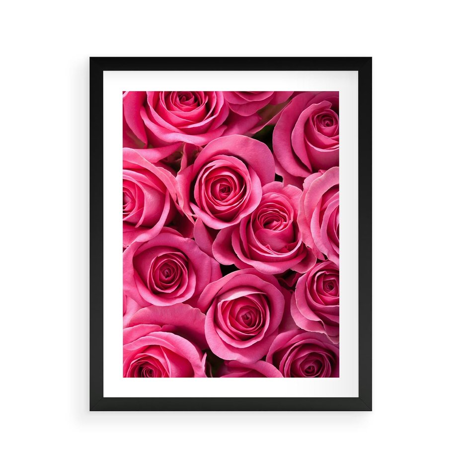 Plakat w ramie 40x50 - Romantyczne róże w pełnym rozkwicie - róże, kwiaty - rama czarna