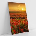 Obraz na płótnie 70x100 - Makowe uczucia - maki, kwiaty