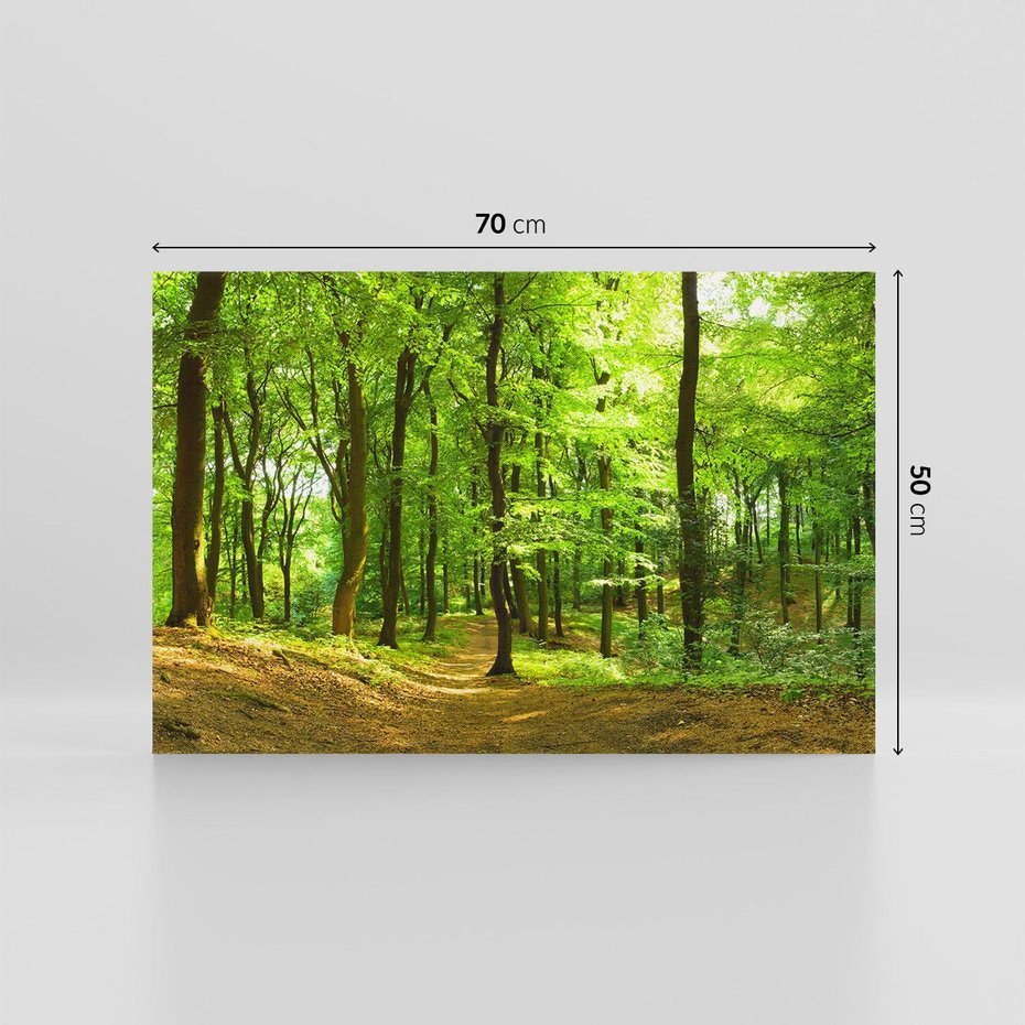 Obraz na płótnie 70x50 - Mistyka leśnych drzew - las, drzewa