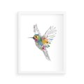 Plakat w ramie 30x40 - Koliber w akwareli - akwarela, koliber - rama biała