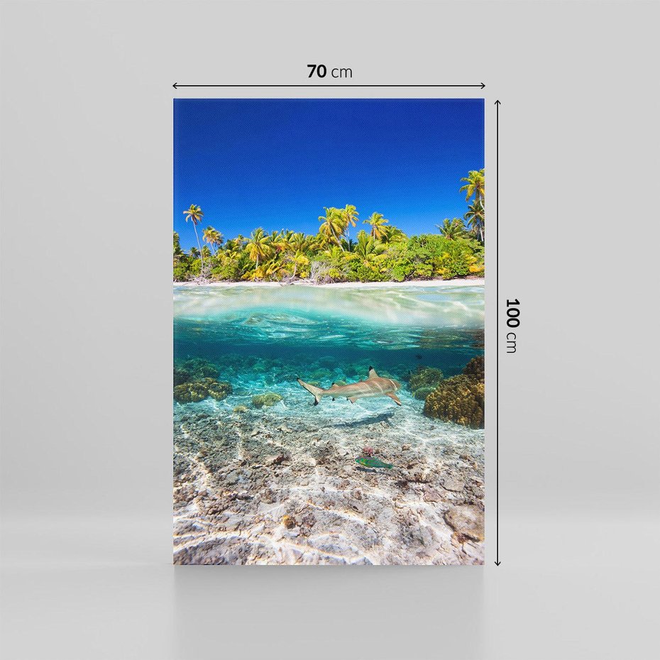 Obraz na płótnie 70x100 - Tropikalne Morze i Kolorowa Rafa - tropikalne, morze