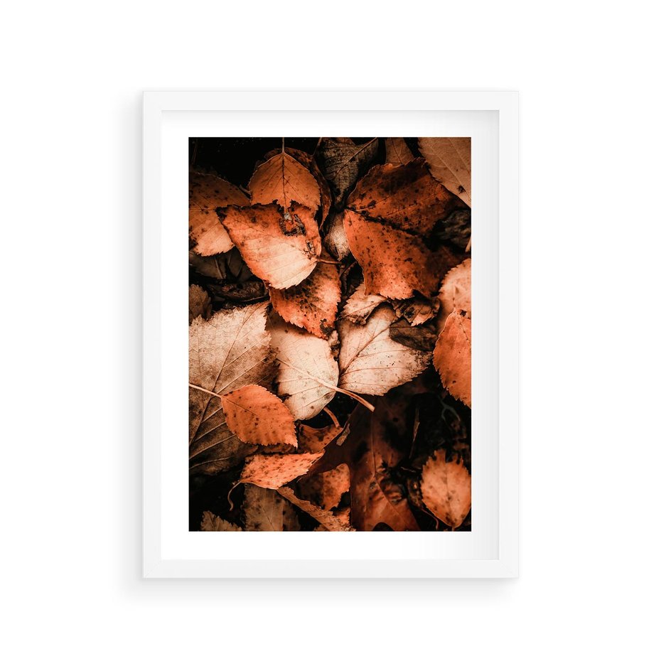 Plakat w ramie 30x40 - Jesienna Paleta - liście, jesień - rama biała