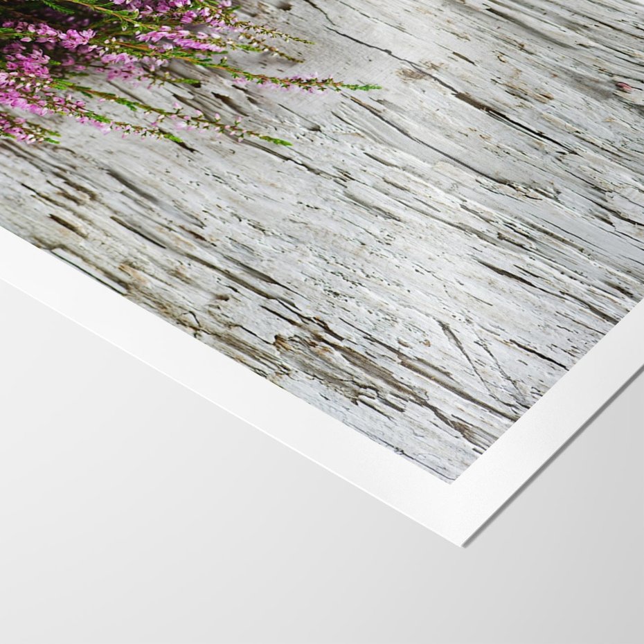 Plakat bez ramy 40x50 - Fioletowe Wrzosy - wrzosy, fiolet