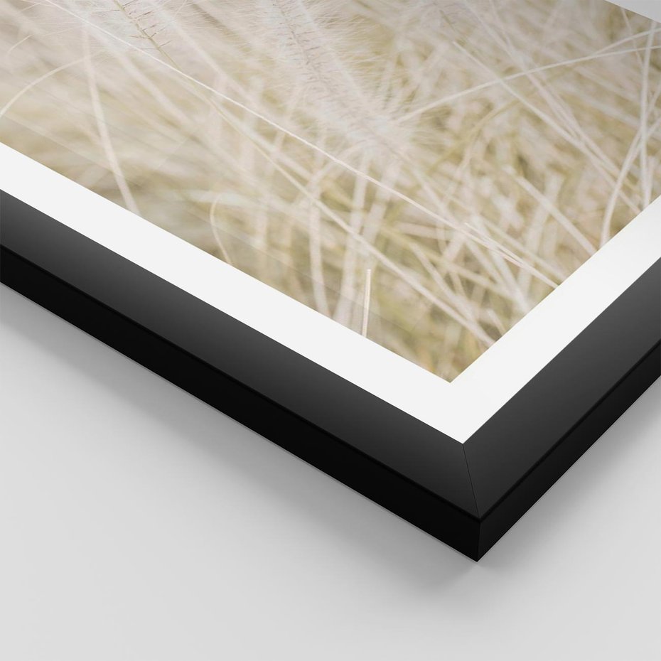 Plakat w ramie 40x50 - Białe Trawy Pampas - suche trawy, białe trawy - rama czarna
