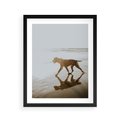 Plakat w ramie 40x50 - Przyjaciel na Plaży - pies, na plaży - rama czarna