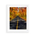 Plakat w ramie 40x50 - Droga przez jesienny las - droga, las - rama biała