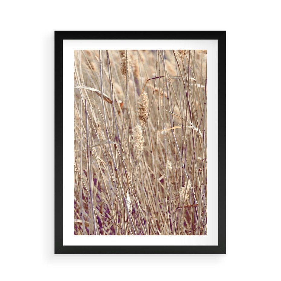 Plakat w ramie 50x70 - Suche Trawy w Wyjątkowym Stylu - suche trawy, boho styl - rama czarna