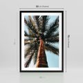 Plakat w ramie 50x70 - Rajskie Inspiracje: Palma na Niebie - palma, na tle nieba - rama czarna