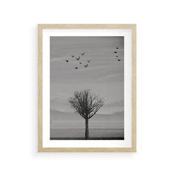 Plakat w ramie 40x50 - Samotne Drzewo - samotne drzewo w polu, czarno białe zdjęcie - rama drewno