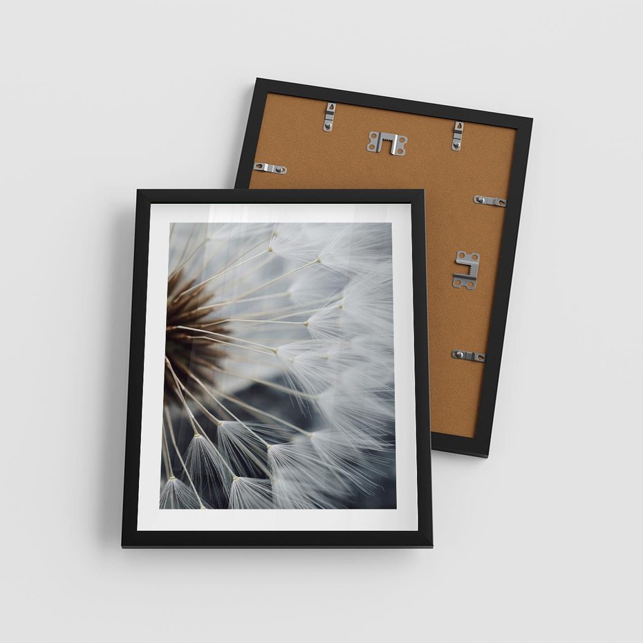 Plakat w ramie 40x50 - Dmuchawce w Naturze - dmuchawiec, zbliżenie - rama czarna