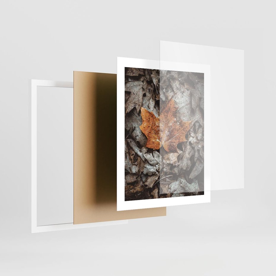 Plakat w ramie 40x50 - Jesienne Czarowanie - suchy liść, żółty - rama biała