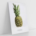 Obraz na płótnie 80x120 - Ananas Egzotyczne Odkrycie - ananas, owoc
