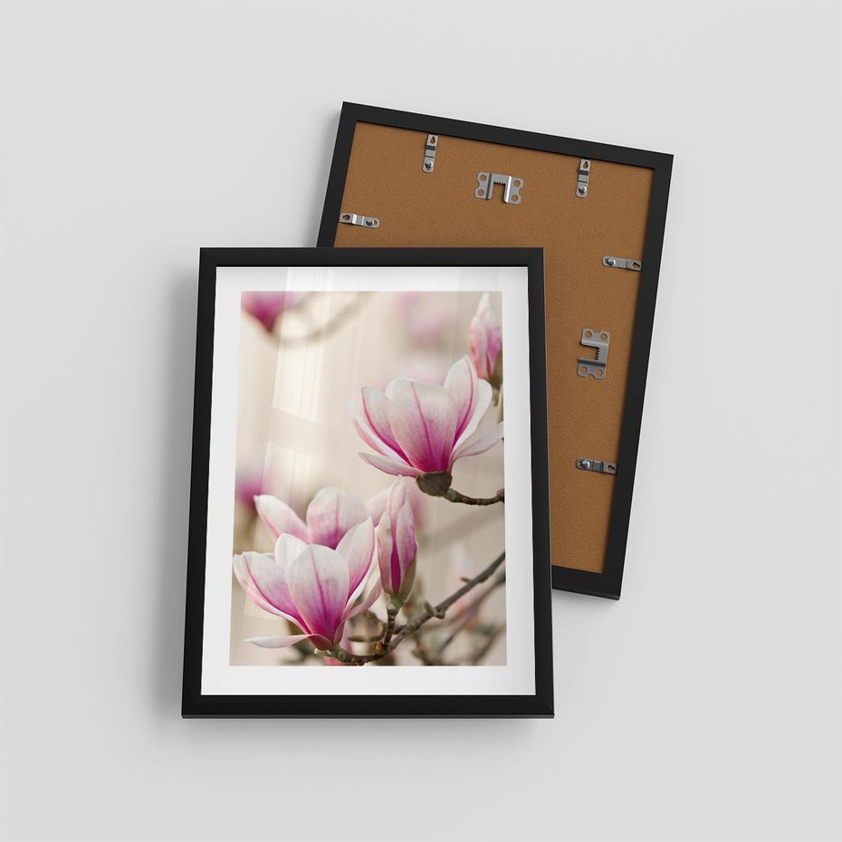 Plakat w ramie 30x40 - Urok Magnolii - magnolie, kwiaty - rama czarna