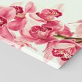 Obraz na płótnie 80x80 - Orchidea - delikatne kwiaty - orchidea, kwiaty