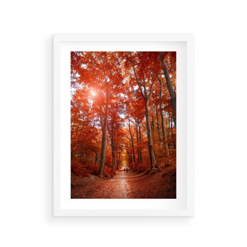 Plakat w ramie 50x70 - Magia jesiennego lasu - las, jesień - rama biała