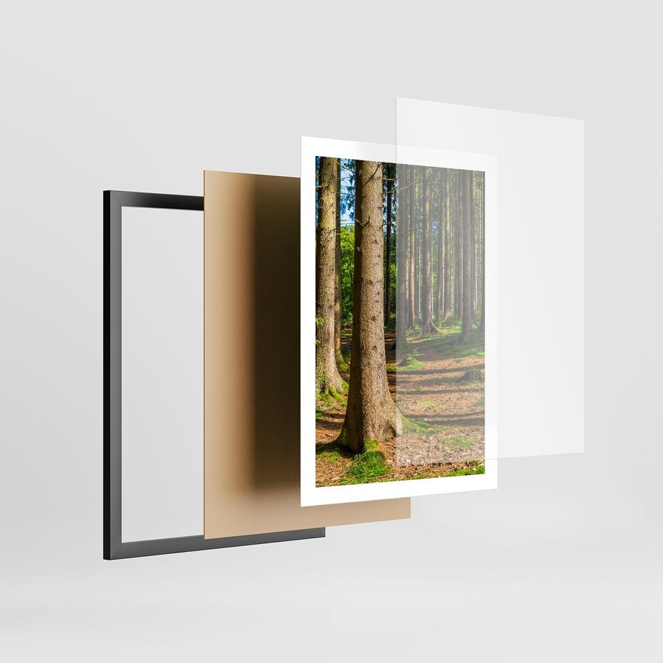 Plakat w ramie 50x70 - Las: harmonia natury - las, drzewa - rama czarna