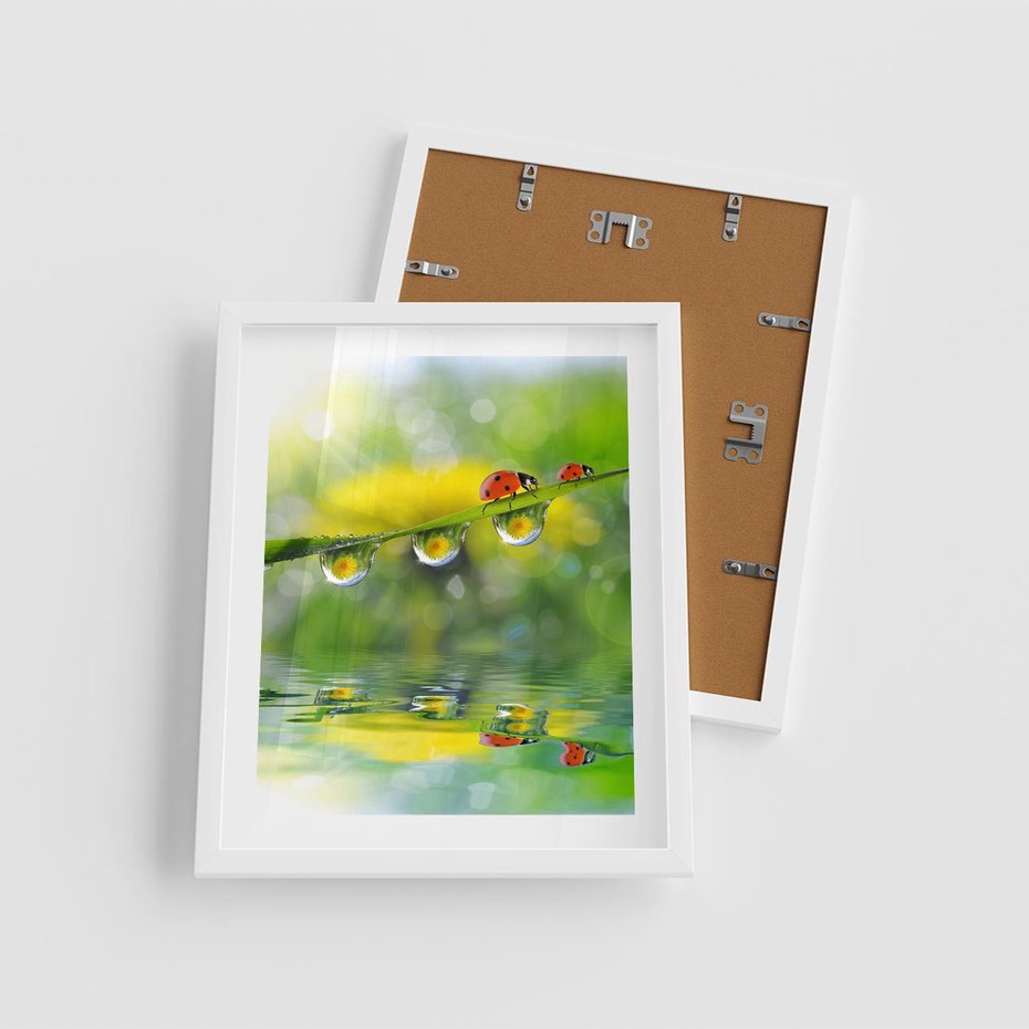Plakat w ramie 40x50 - Deszczowa Biedronka - biedronka, deszcz - rama biała