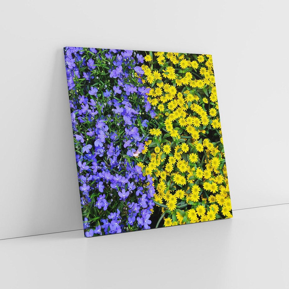 Obraz na płótnie 70x70 - Tulipanowe Elegancja - kwiat, kwiaty