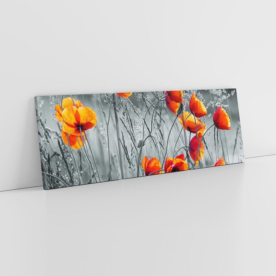 Obraz na płótnie 120x40 - Malownicza łąka - maki, mak