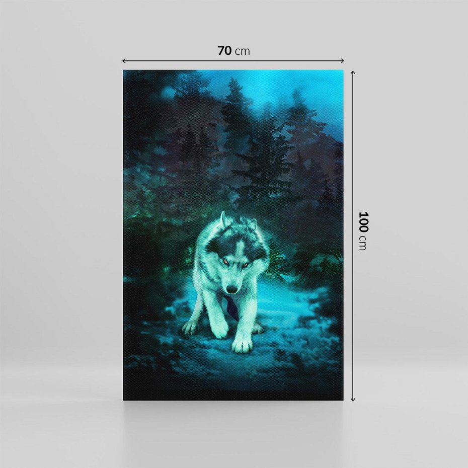 Obraz na płótnie 70x100 - Siła i wdzięk natury - wilk, husky