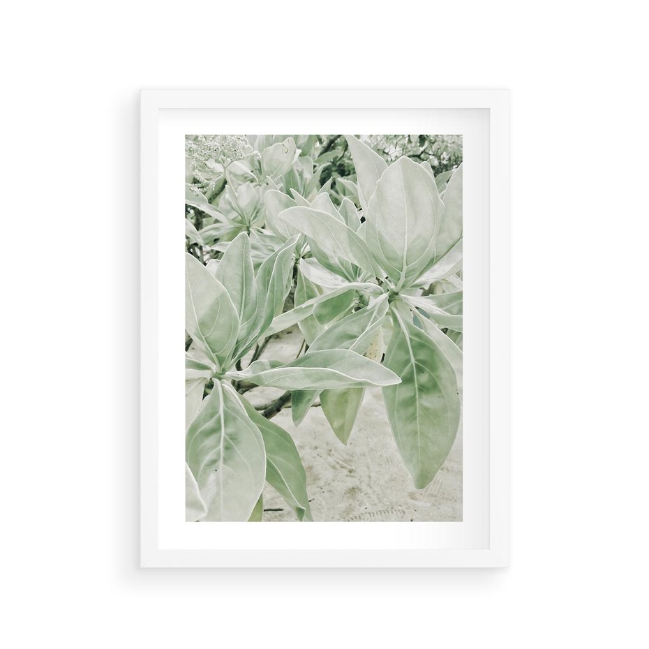 Plakat w ramie 30x40 - Jasnozielone Liście w Kompozycji - liście, jasna zieleń - rama biała