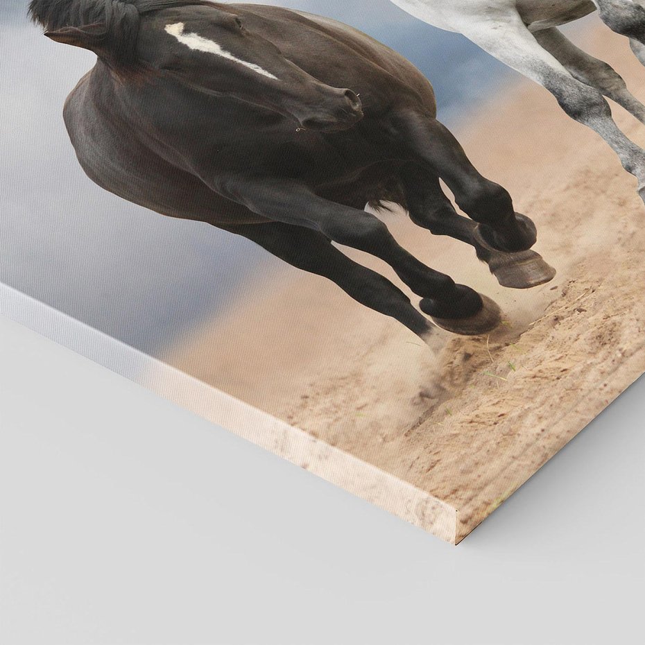 Obraz na płótnie 60x60 - Siła koni w galopie - konie, galop