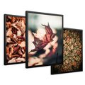Zestaw obrazy w ramie 50x70 galeria - Jesienny, las, liście - rama czarna