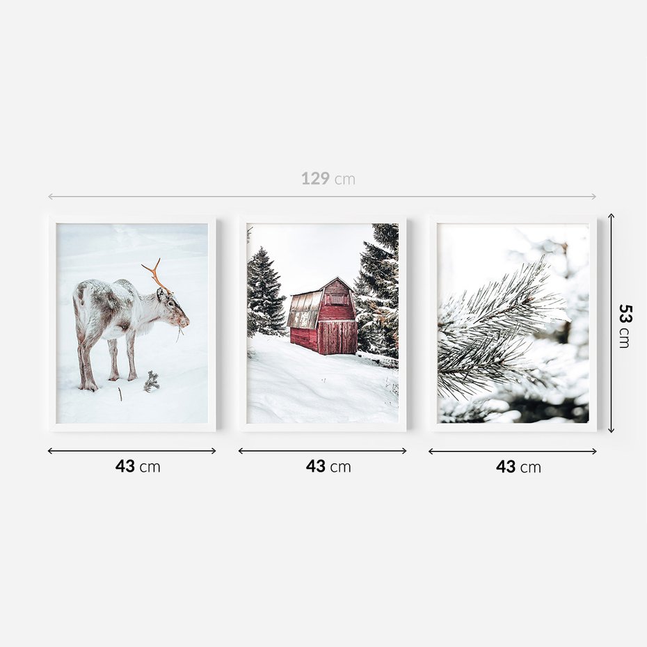 Zestaw obrazy w ramie 40x50 galeria - Zimowy, widok, renifer - rama biała