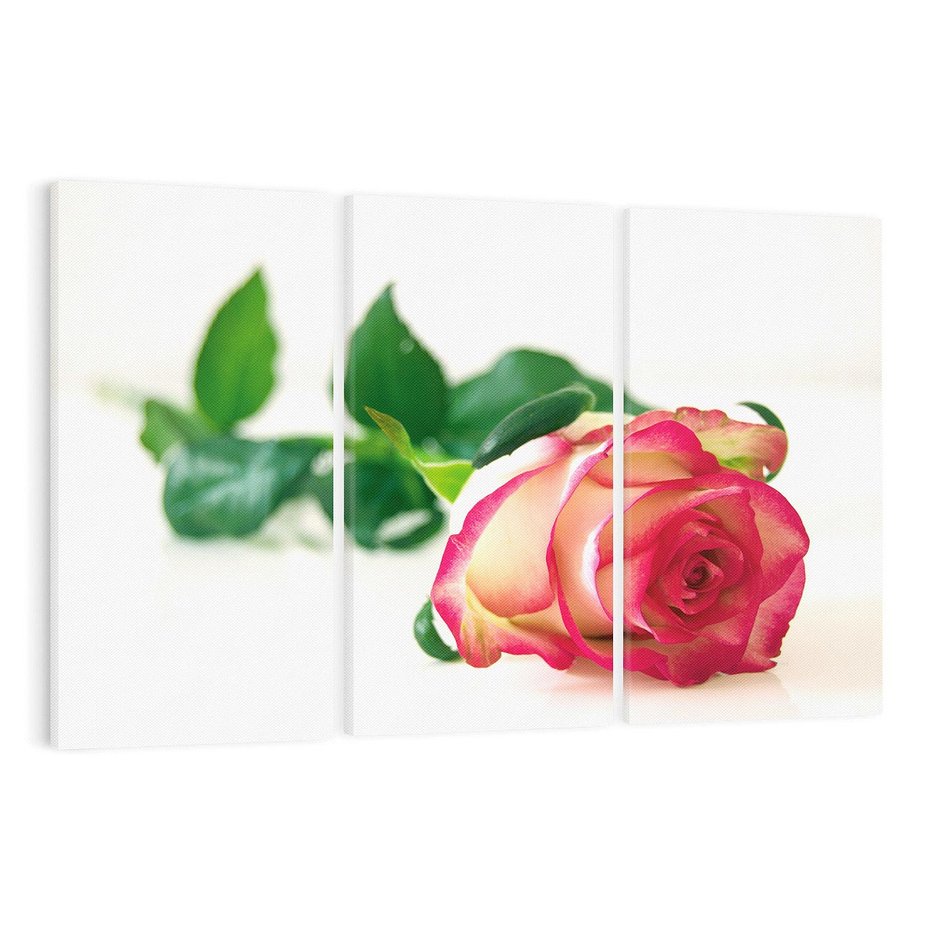 Obraz na płótnie 120x80 - Romantyczna Róża - róża, kwiat