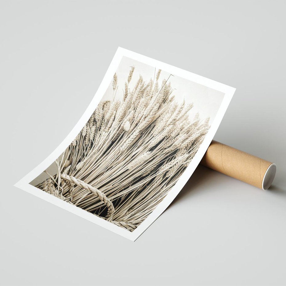 Plakat bez ramy 21x30 - Letni Plon - zboże, kłosy zboża