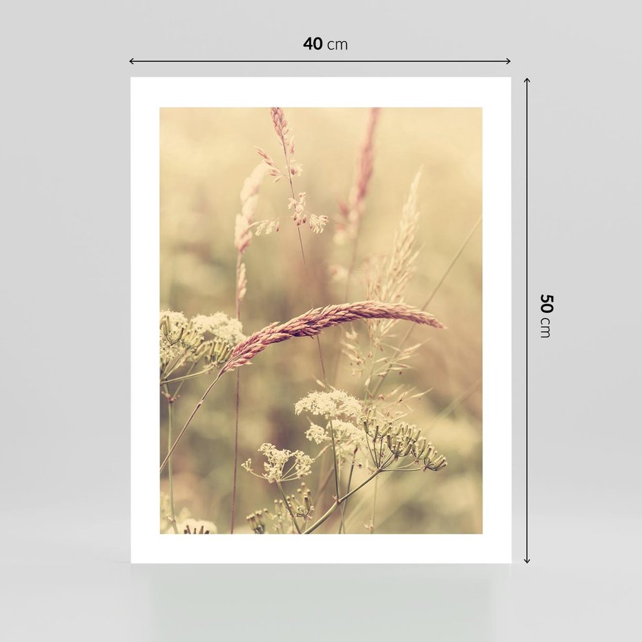 Plakat bez ramy 40x50 - Boho Wizja - suszone, trawy