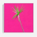 Obraz w ramie 50x50 - Retro Stylizacja - palma, liście - rama biała