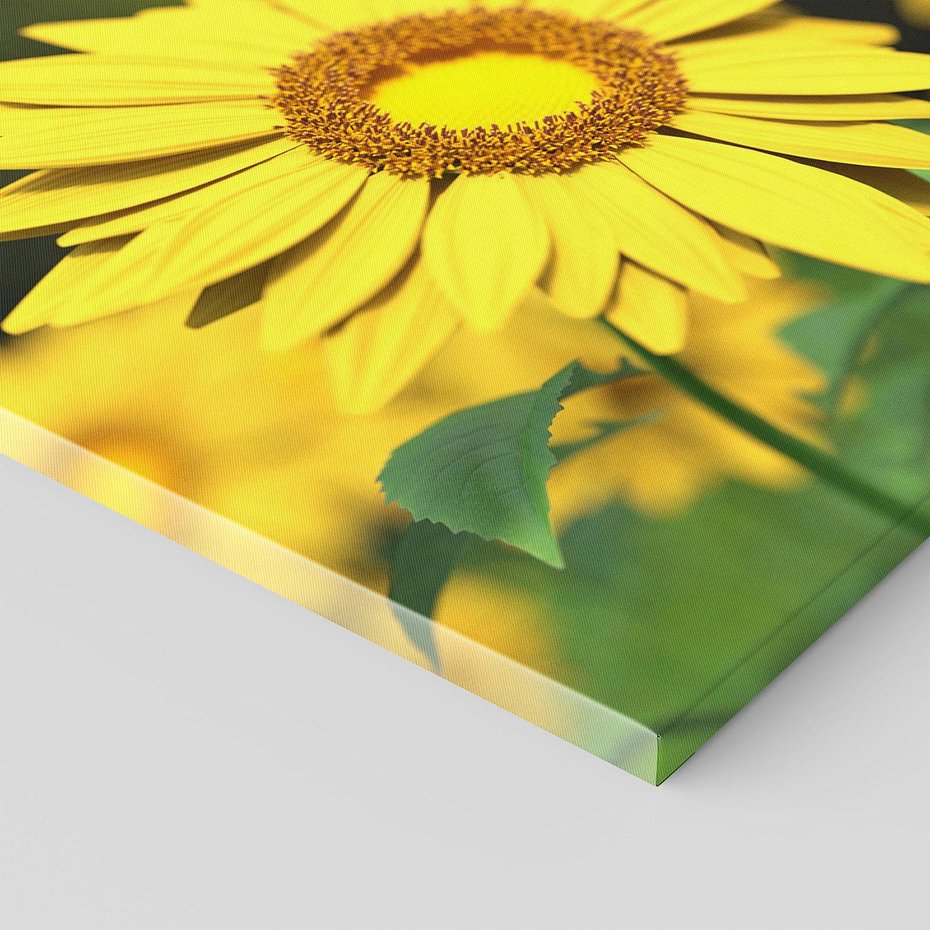 Obraz na płótnie 120x80 - Kwiatowa łąka - kwiaty, łąka