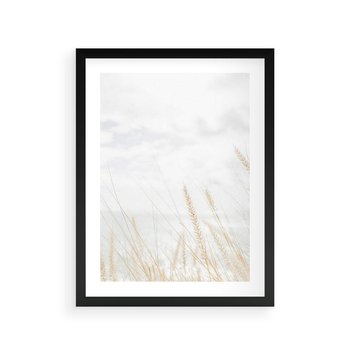 Plakat w ramie 30x40 - Jasna Delikatność: Fotografia Suchych Traw - suche trawy, jasna fotografia - rama czarna