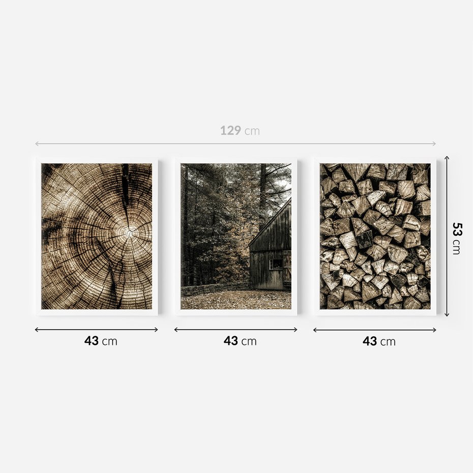 Zestaw obrazy w ramie 40x50 galeria - Drewno, pień, boho, domek - rama biała