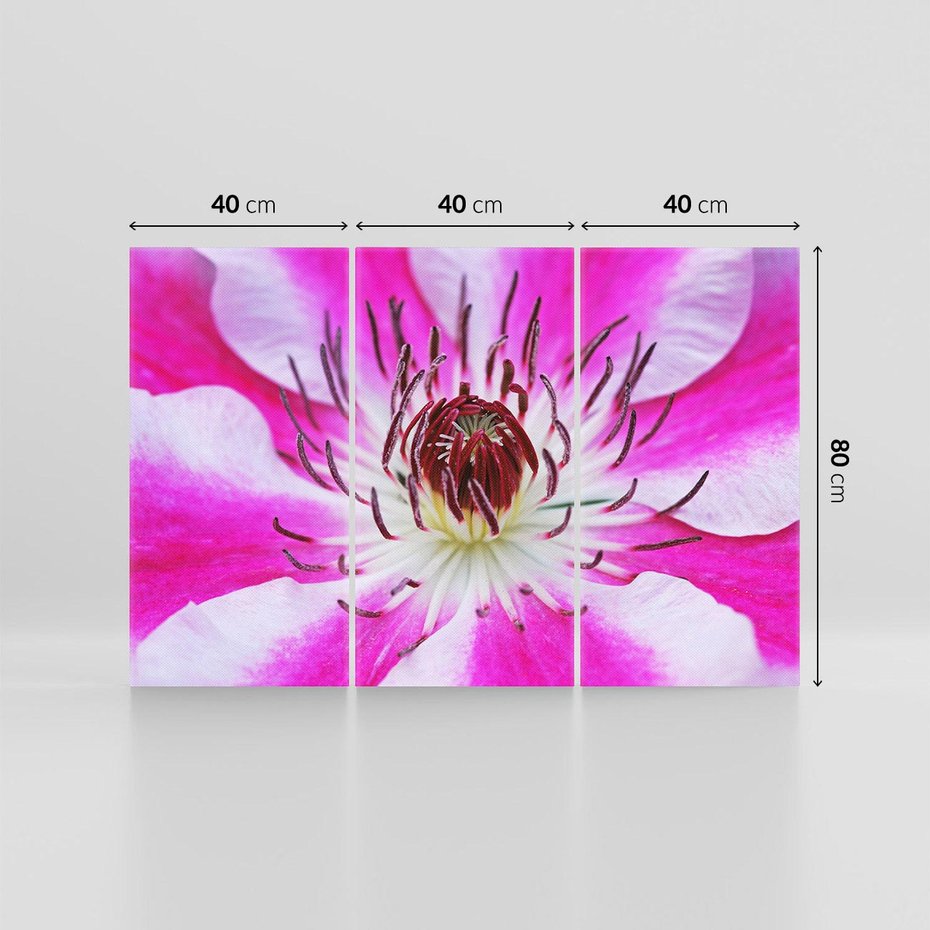 Obraz na płótnie 120x80 - delikatność natur - kwiat, kwiaty