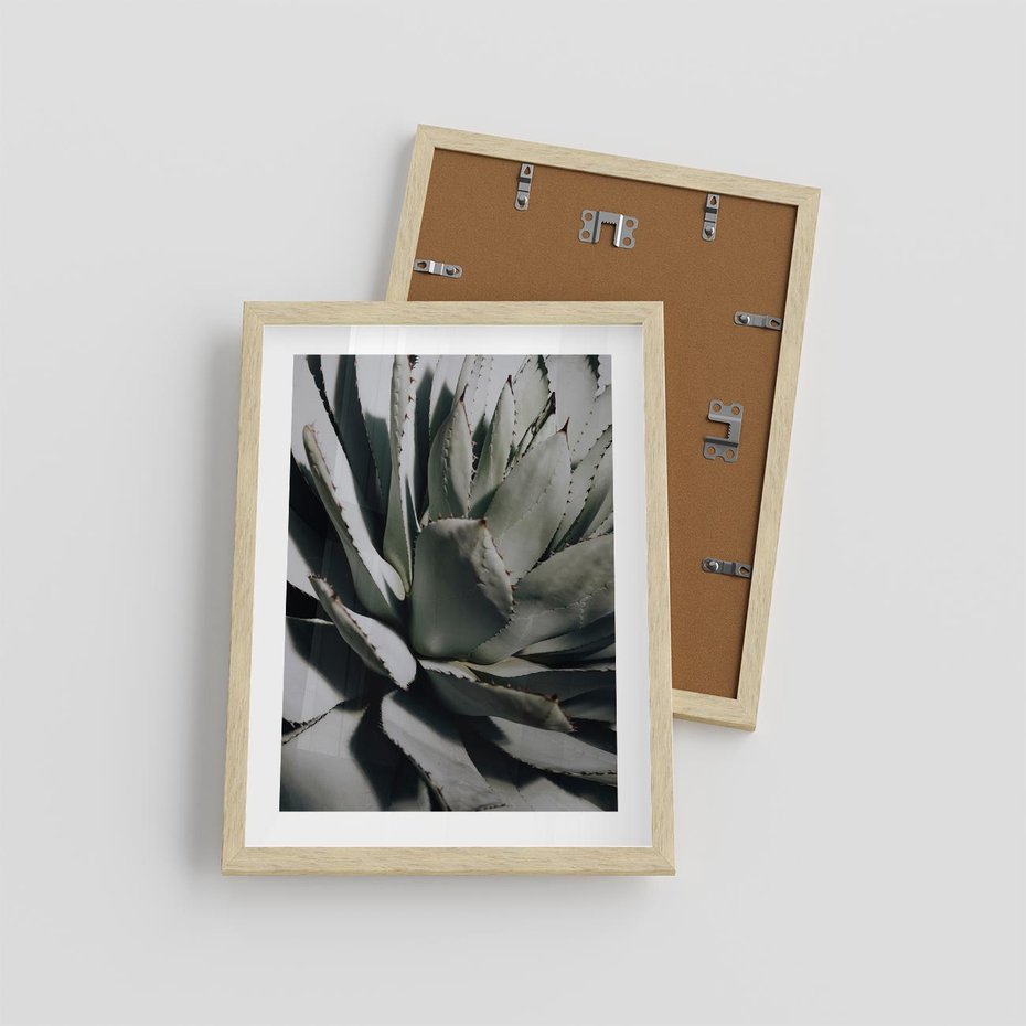 Plakat w ramie 30x40 - Egzotyczny Raj - sukulenty, kaktusy - rama drewno