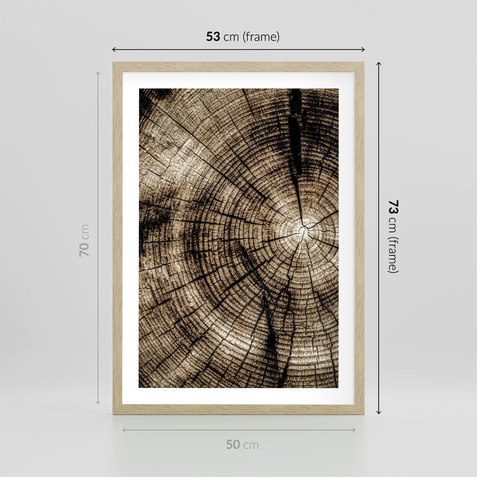 Plakat w ramie 50x70 - Natura Pod Lupą - pień drzewa, przekrój - rama drewno