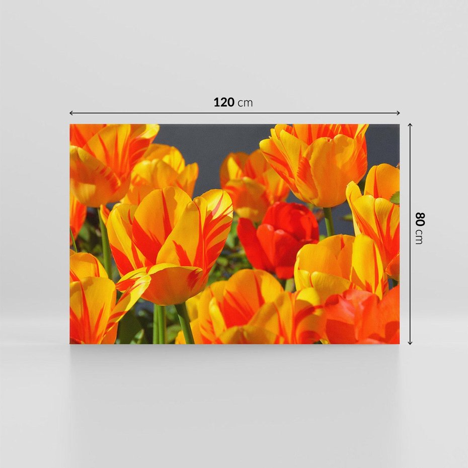 Obraz na płótnie 120x80 - Kwiatowa Harmonia - kwiaty, kwiat