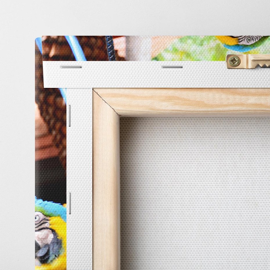 Obraz na płótnie 60x60 - Kolorowa parada papug - papuga, papugi