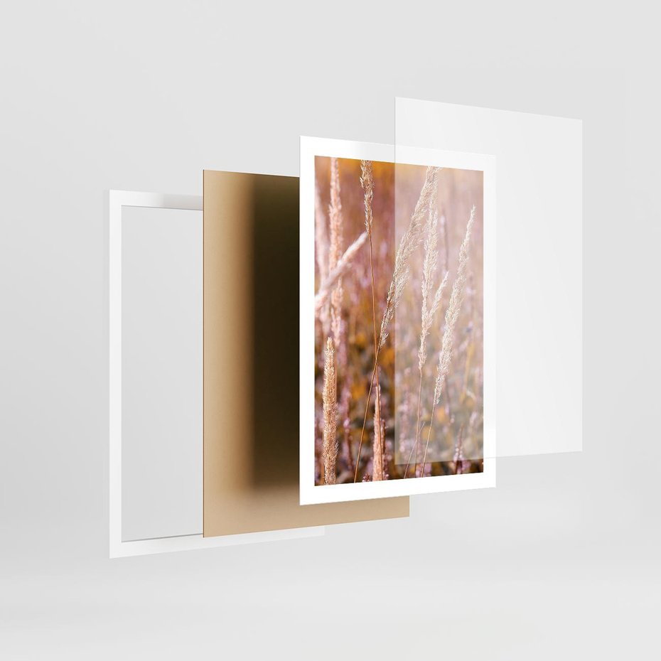 Plakat w ramie 50x70 - Sucha Trawa w Sierpniu - trawy, łąka - rama biała