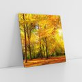 Obraz na płótnie 40x40 - Urok jesiennego lasu - las, drzewa